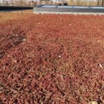 04.03.2021. Busko-Zdrój. Tężnia i dom zdrojowy / Marta Gajda / Radio Kielce