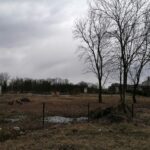 14.03.2021 Solec-Zdrój. Teren, na którym powstanie park zdrojowy / Marta Gajda / Radio Kielce