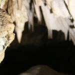 Chęciny. Jaskinia Raj / Robert Felczak / Radio Kielce