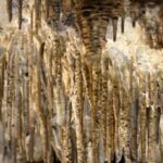 Chęciny. Jaskinia Raj / Robert Felczak / Radio Kielce