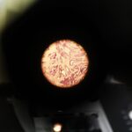 18.02.2021 Starachowice. Zakład patomorfologii przy szpitalu powiatowym. Komórki rakowe widziane pod mikroskopem / Jarosław Kubalski / Radio Kielce