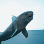 Kielce. Ekspozycja w Centrum Geoedukacji / Patryk Cudzik / Radio Kielce