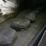 Kielce. Ekspozycja w Centrum Geoedukacji / Patryk Cudzik / Radio Kielce