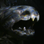 Kielce. Ekspozycja w Centrum Geoedukacji / Patryk Cudzik / Radio Kielce