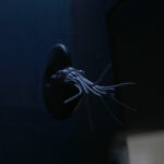 Kielce. Ekspozycja w Centrum Geoedukacji / Patryk Cudzik / Radio Kielce