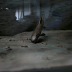 Kielce. Ekspozycja w Centrum Geoedukacji / Patryk Cudzik / Radio Kielce