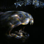 Kielce. Ekspozycja w Centrum Geoedukacji / Patryk Cudzik / Radio Kielce