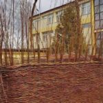 Koszyk upleciony przez młodzież z Zespołu Szkół i Placówek Oświatowych Województwa Łódzkiego w Łowiczu / FB Zespół Szkół i Placówek Oświatowych Województwa Łódzkiego w Łowiczu; zespollowicz.pl