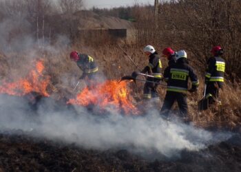 Pożar trawy / KP PSP Skarzysko-Kamienna