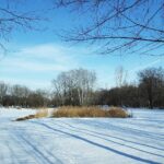 21.02.2021 Małoszyce. Miejsce urodzenia Witolda Gombrowicza / Emilia Sitarska / Radio Kielce