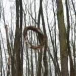 Budowanie platformy gniazdowej dla bielika w ramach projektu LIFE na terenie Nadleśnictwa Pińczów / Zespół Świętokrzyskich i Nadnidziańskich Parków Krajobrazowych