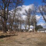 10.03.2021 Nietulisko Duże. Miejsce, na którym mają zostać wybudowane domy socjalne / Emilia SItarska / Radio Kielce