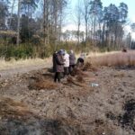 Odnowienia lasu w Nadleśnictwie Marcule / Nadleśnictwo Marcule / Facebook