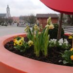 30.03.2021 Ostrowiec Św. Ozdoby świąteczne / Emilia Sitarska / Radio Kielce