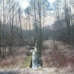 19.03.2021. Pomyków - miejsce, w którym produkowano pistolety oraz cmentarz, na którym pochowano niemieckich rzemieślników / Magdalena Galas-Klusek / Radio Kielce