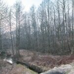 19.03.2021. Pomyków - miejsce, w którym produkowano pistolety oraz cmentarz, na którym pochowano niemieckich rzemieślników / Magdalena Galas-Klusek / Radio Kielce