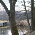 19.03.2021. Pomyków - miejsce, w którym produkowano pistolety oraz cmentarz, na którym pochowano niemieckich rzemieślników / Magdalena Galas-Klusek / Radio Kielce