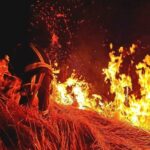 03.03.2021 Psary. Akcja gaszenia pożaru trawy / OSP Bodzentyn