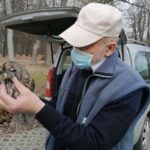 26.03.2021. Chroberz. Ptaki wypuszczone na wolność / Marta Gajda / Radio Kielce