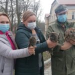 26.03.2021. Chroberz. Ptaki wypuszczone na wolność / Marta Gajda / Radio Kielce