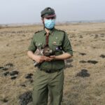 26.03.2021. Chroberz. Ptaki wypuszczone na wolność / Marta Gajda / Radio Kielce