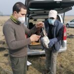 26.03.2021. Chroberz. Ptaki wypuszczone na wolność / Marta Gajda / Radio Kielce