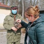 26.03.2021. Chroberz. Ptaki wypuszczone na wolność / Marta Gajda / Radio Kielce