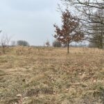 07.03.2021 Snochowice gmina Łopuszno. Miejsce walki oddziału Mieczysława Stemplewskiego „Sergiusz" / Dionizy Krawczyński / Radio Kielce