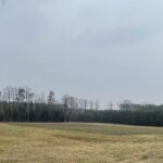 07.03.2021 Snochowice gmina Łopuszno. Miejsce walki oddziału Mieczysława Stemplewskiego „Sergiusz" / Dionizy Krawczyński / Radio Kielce