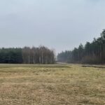 07.03.2021 Snochowice gmina Łopuszno. Miejsce walki oddziału Mieczysława Stemplewskiego „Sergiusz" / Dionizy Krawczyński / Radio Kielce