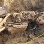 Słupcza. Szkielet niemieckiego żołnierza / Misja skarb - serial telewizyjny FOKUS TV / Facebook