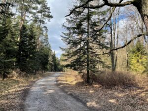 21.03.2021 Zwierzyniec i Czarnca. Miejsce walki i pamięci. Miejsce walki w Zwierzyńcu / Dionizy Krawczyński / Radio Kielce