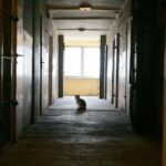 23.03.2021. Kielce. Ulica Młoda 4. Blok socjalny / Wiktor Taszłow / Radio Kielce