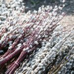 27.03.2021. Kielce. Dekoracje świąteczne na bazarze / Wiktor Taszłow / Radio Kielce