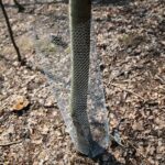 31.03.2021 Kielce. Porządki i siatki zabezpieczające przed bobrami nad kieleckim zalewem / Wiktor Taszłow / Radio Kielce