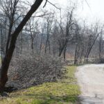 31.03.2021 Kielce. Porządki i siatki zabezpieczające przed bobrami nad kieleckim zalewem / Wiktor Taszłow / Radio Kielce