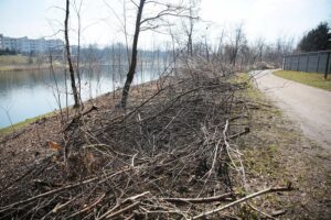 31.03.2021 Kielce. Porządki i siatki zabezpieczające przed bobrami nad kieleckim zalewem / Wiktor Taszłow / Radio Kielce