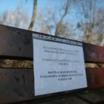 02.03.2021. Kielce. Wycięte drzewa w Parku Miejskim / Wiktor Taszłow / Radio Kielce