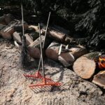 02.03.2021. Kielce. Wycięte drzewa w Parku Miejskim / Wiktor Taszłow / Radio Kielce