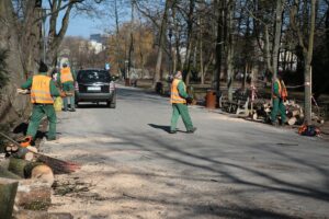 02.03.2021. Kielce. Wycięte drzewa w Parku Miejskim / Wiktor Taszłow / Radio Kielce