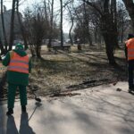 02.03.2021. Kielce. Wycięte drzewa w Parku Miejskim / Wiktor Taszłow / Radio Kielce