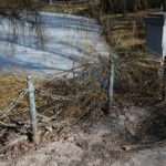 02.03.2021. Kielce. Wycięte drzewa w Parku Miejskim / Wiktor Taszłow / Radio Kielce