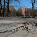 02.03.2021. Kielce. Wycięte drzewa w Parku Miejskim / Wiktor Taszłow / Radio Kielce