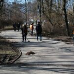 02.03.2021. Kielce. Wycięte drzewa w Parku Miejskim / Wiktor Taszłow / Radio Kielce