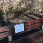 02.03.2021. Kielce. Wycięte drzewa w Parku Miejskim / Wiktor Taszłow / Radio Kielce