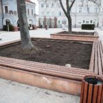 10.03.2021. Kielce. Miejsca nasadzeń kwiatów i krzewów na terenie miasta / Wiktor Taszłow / Radio Kielce