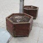 10.03.2021. Kielce. Miejsca nasadzeń kwiatów i krzewów na terenie miasta / Wiktor Taszłow / Radio Kielce