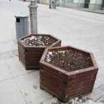 10.03.2021. Kielce. Miejsca nasadzeń kwiatów i krzewów na terenie miasta / Wiktor Taszłow / Radio Kielce