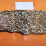 12.03.2021. Kielce. Muzeum Historii Kielc. Wystawa „Meteoryty ze zbiorów Krzysztofa Sochy – Sala dla Kolekcjonera” / Wiktor Taszłow / Radio Kielce