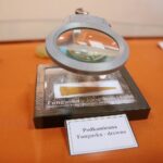 12.03.2021. Kielce. Muzeum Historii Kielc. Wystawa „Meteoryty ze zbiorów Krzysztofa Sochy – Sala dla Kolekcjonera” / Wiktor Taszłow / Radio Kielce